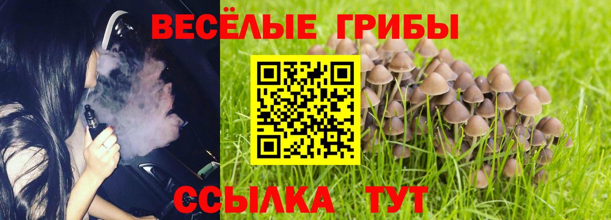 Псилоцибиновые грибы Cubensis  купить   Осинники  Галлюциногенные грибы мицелий  Вход с VPN 